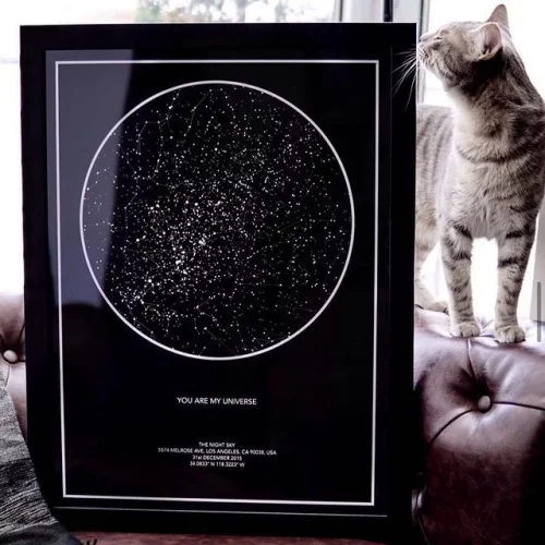 Cat with a Star Map